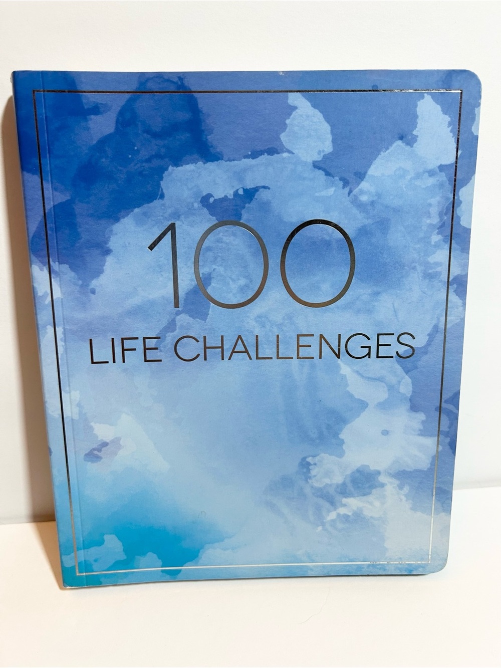 100 Life Challenges Workbook - Sarah Steckler
